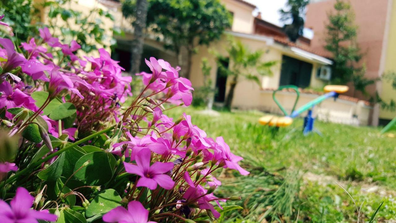 Apartmani Koin ميدولين المظهر الخارجي الصورة